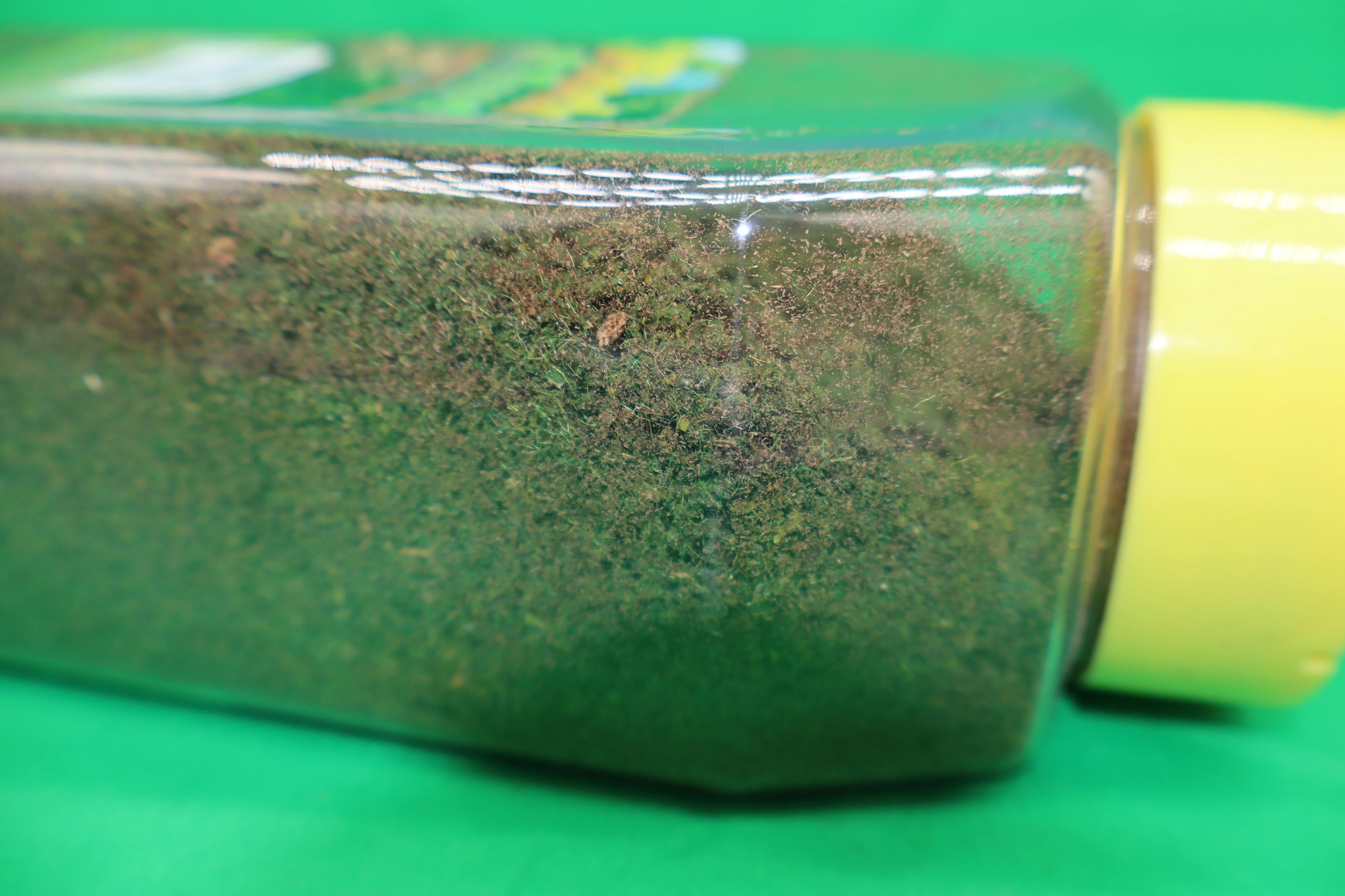 Scenic Express EX886B - Farm Pasture Blend - 32 Oz. - Image 2