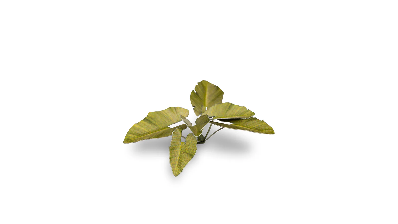 Gamers Grass GGLP-EE - Laser Plants - Elephant Ear - Image 3